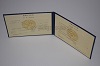 Стоимость диплома техникума УзбекАССР 1975-1991 г. в Рославле (Смоленская Область)