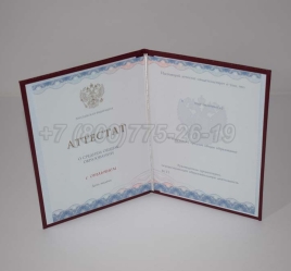 Аттестат За 11 Класс 2024г Золото ГОЗНАК в Смоленске