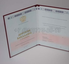 Красный Диплом Бакалавра 2023г ГОЗНАК в Смоленске