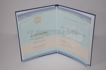 Диплом Колледжа 2023г СпецБланк в Смоленске