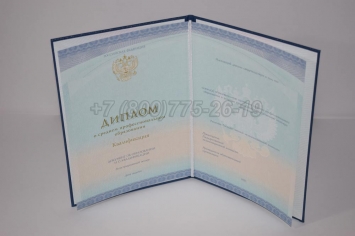 Диплом Техникума 2018г СпецБланк в Смоленске